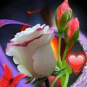 Meet your Posher, Kalaiselvi